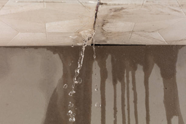 Professional Water Damage Repair technician working in Brownfield, TX